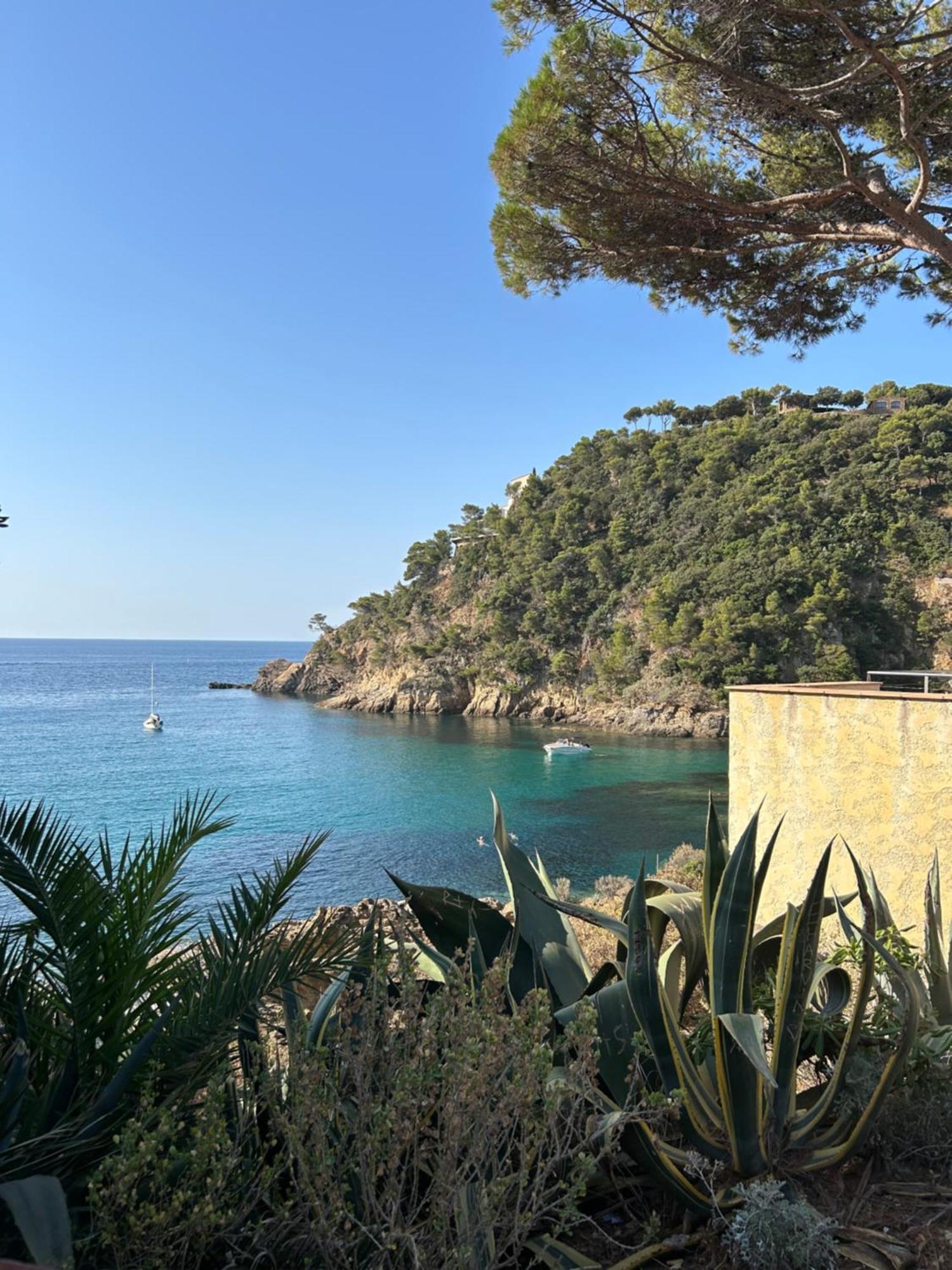 La Calypso Διαμέρισμα Cavalaire-sur-Mer Εξωτερικό φωτογραφία